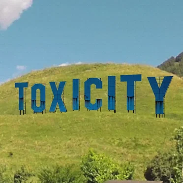 Toxicity
