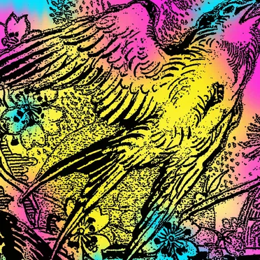 One Swallow Doesn't Make A Summer Part 1 by Various Artists - album cover