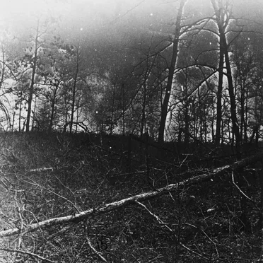 I Could Be the 1 [Ear Damage mix]