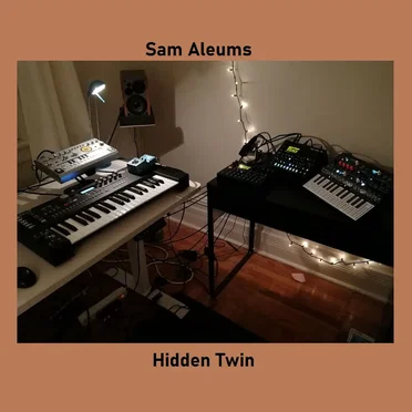 Hidden Twin