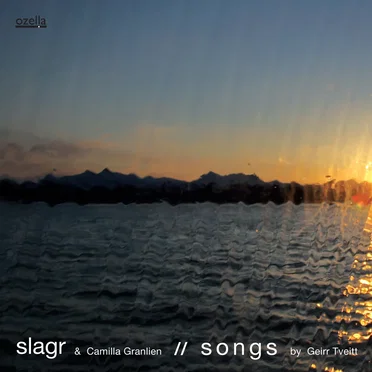 Slagr