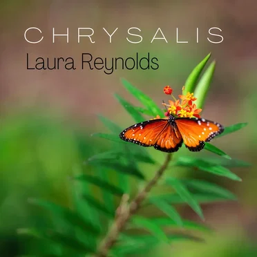 Chrysalis