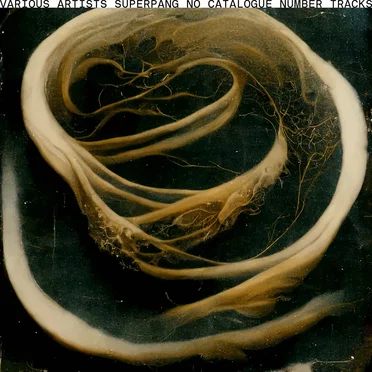 No Catalogue Number Tracks by Various Artists - album cover