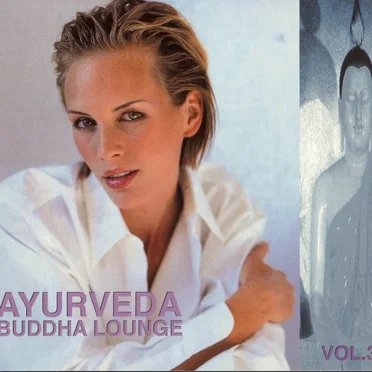 Ayurveda Buddha Lounge, Volume 3 by Various Artists - album cover