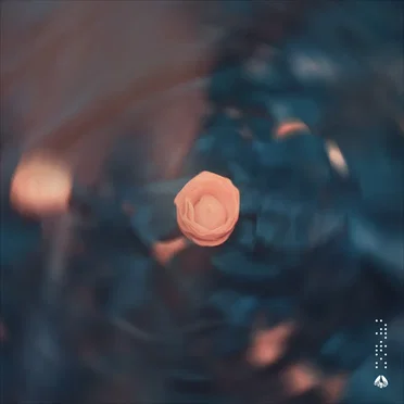 Heaven by Jay Cass - album cover