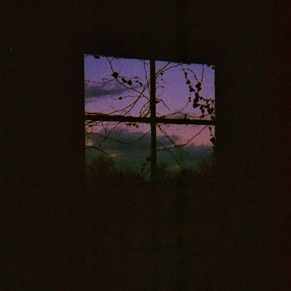 Before the Sunlight