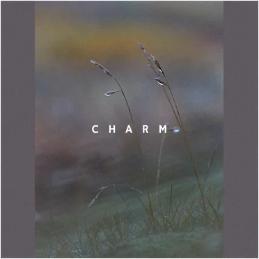 Charm
