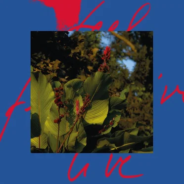 Feel Live by Massimiliano Pagliara - album cover