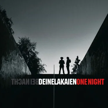 One Night by Deine Lakaien - album cover