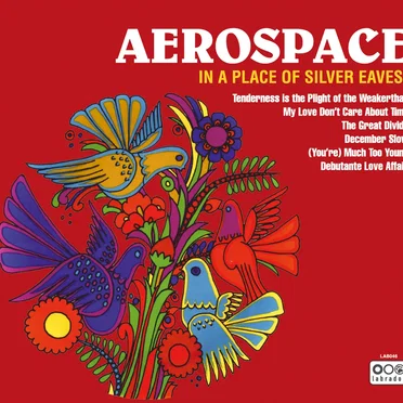 In a Place of Silver Eaves by Aerospace - album cover