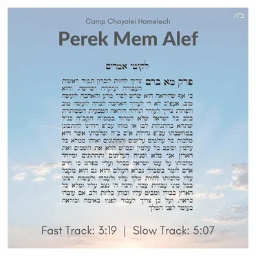Perek Mem Alef by Camp Chayolei Hamelech - album cover