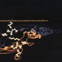 Charles Atlas artist image