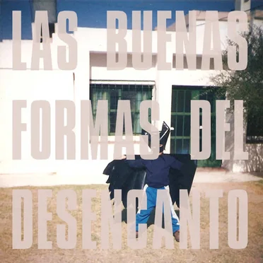 Las Buenas Formas del Desencanto