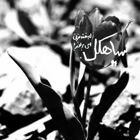 Corrupt / فاسد