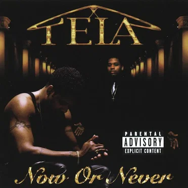 Now or Never by Tela - album cover
