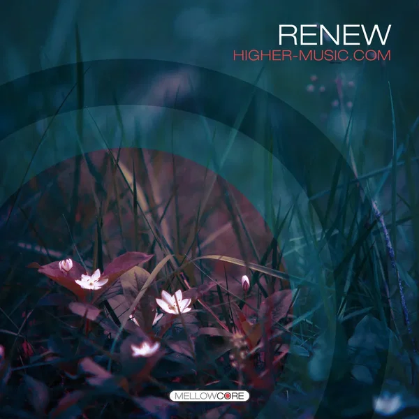 Renew