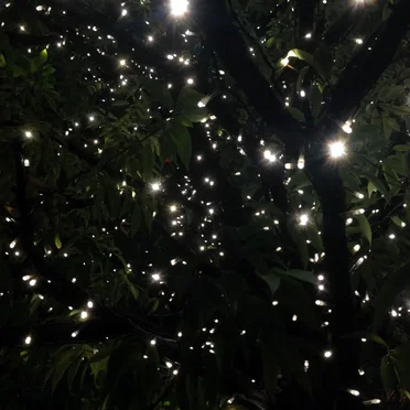 Can We Break Exceptions and See How This Goes