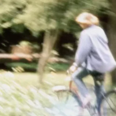 Oak Tree (Daydream)