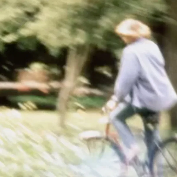 Oak Tree (Daydream)