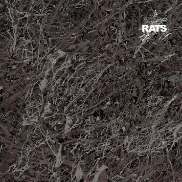 RATS by Presha - album cover