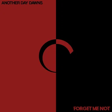 Forget Me Not (Radio Edit)