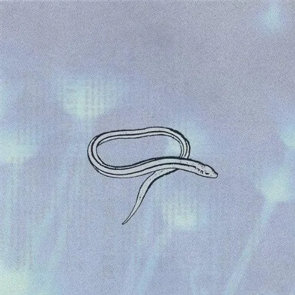 Bring On the Snakes
