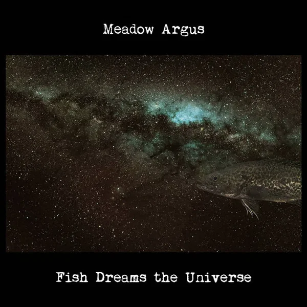 Fish Dreams the Universe