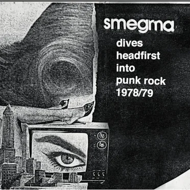 1978 …Dives Headfirst Into Punk Rock