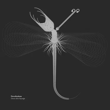 Densiz deve kuyruğu by Devedönderen - album cover