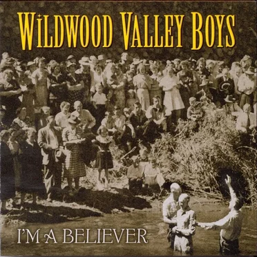 I’m a Believer by Wildwood Valley Boys - album cover