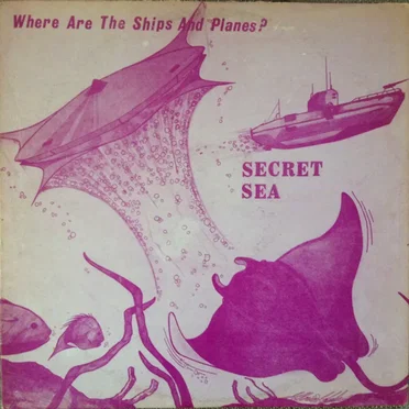 The Secret Sea