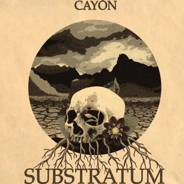 Substratum