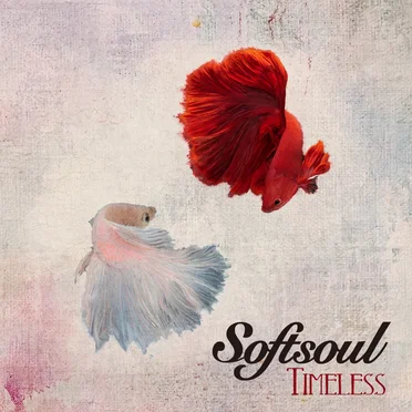 Timeless by Softsoul - album cover