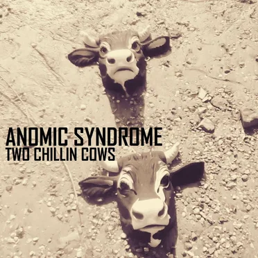 Anomic Syndrome