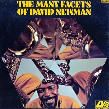 The Many Facets of David Newman