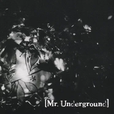Mr.Underground
