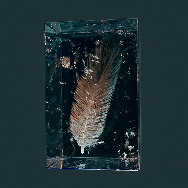 crow