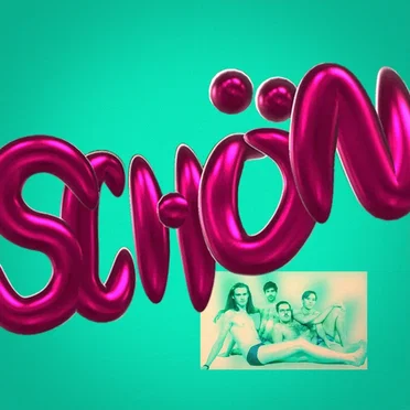 Schön by Pudeldame - album cover