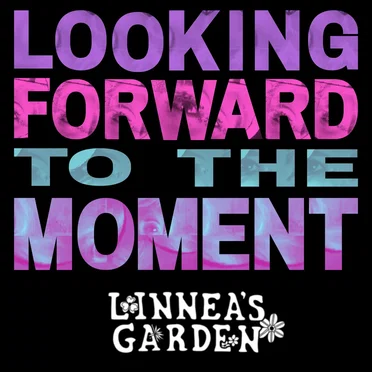 Looking forward to the moment by Linnea's Garden - album cover