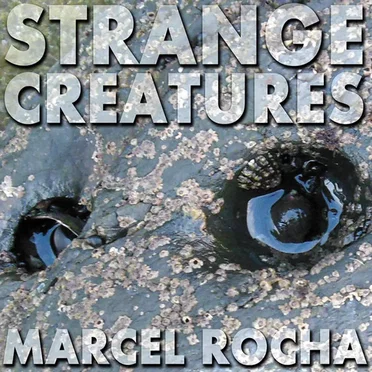 Strange Creatures