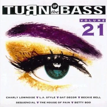 Turn Up the Bass, Volume 21 by Various Artists - album cover