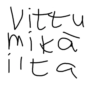 Vittu mikä ilta