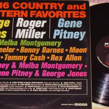 Big 16 Country and Western Favorites by Various Artists - album cover