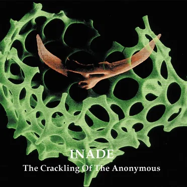 The Crackling of the Anonymous