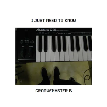 I Just Need To Know by Groovemaster B - album cover