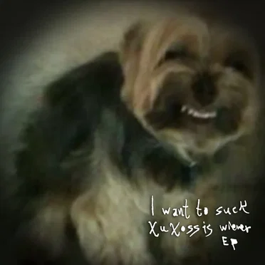 I Want to Suck Xuxossis Wiener EP by Faggot - album cover