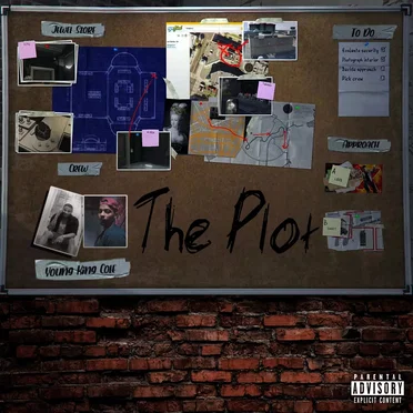 Plot