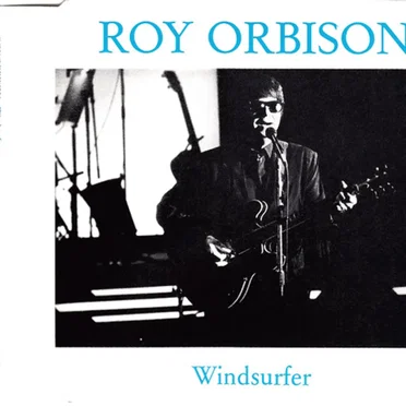 Windsurfer