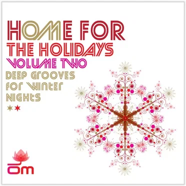 Home for the Holidays Vol 2 (Deep Grooves for Winter Nights) by Various Artists - album cover