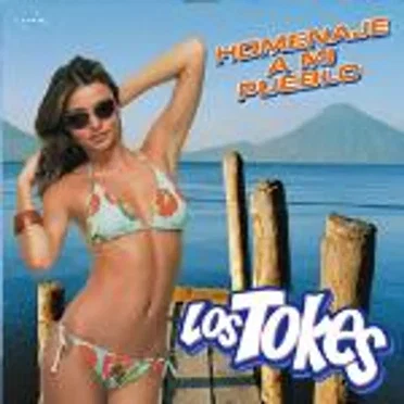 Homenaje a mi pueblo by Los Tokes - album cover